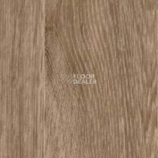 Линолеум Taralay Initial Comfort 0589 Wood фото 1 | FLOORDEALER